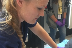 Emma Anders, HCP